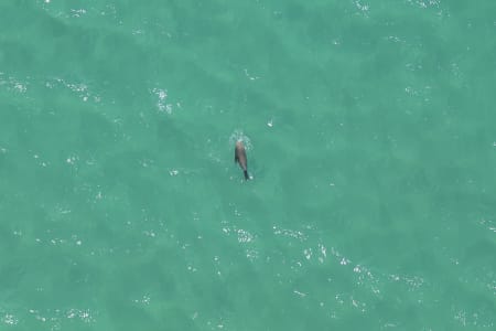 Aerial Image of SEAL SERIES BONDI