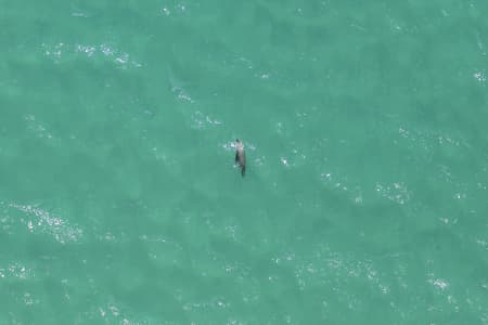 Aerial Image of SEAL SERIES BONDI