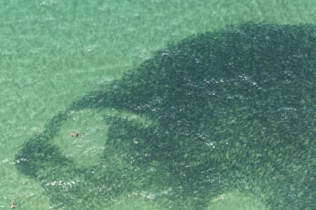 Aerial Image of SHARK BAIT