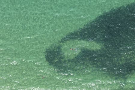 Aerial Image of SHARK BAIT