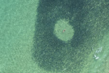 Aerial Image of SHARK BAIT