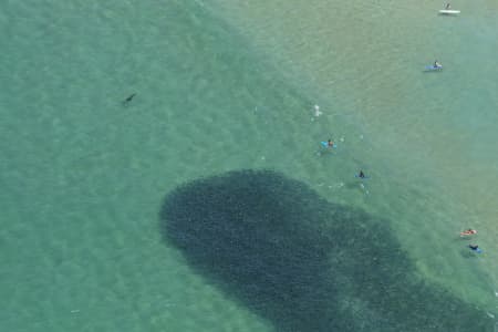 Aerial Image of SEAL SERIES BONDI