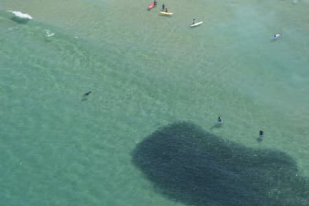 Aerial Image of SEAL SERIES BONDI