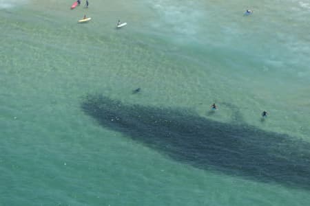 Aerial Image of SEAL SERIES BONDI