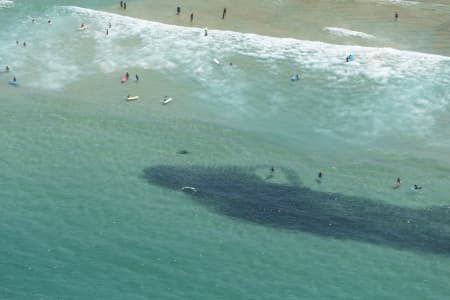 Aerial Image of SEAL SERIES BONDI