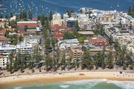 Aerial Image of MANLY BEACH