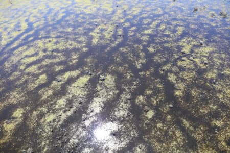 Aerial Image of MACQUARIE MARSHES IN FLOOD