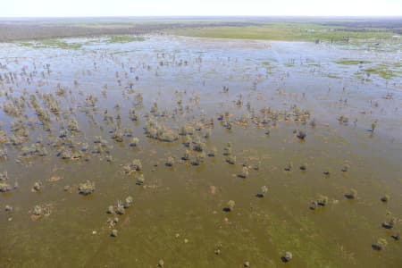 Aerial Image of MACQUARIE MARSHES IN FLOOD