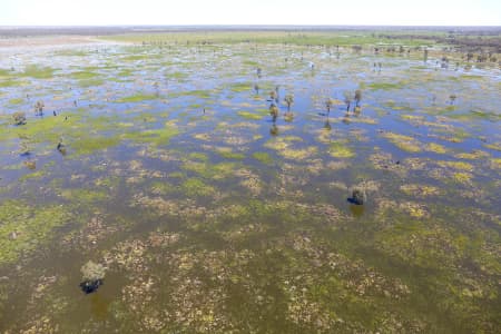 Aerial Image of MACQUARIE MARSHES IN FLOOD