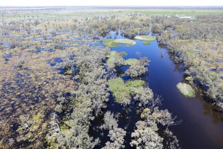 Aerial Image of MACQUARIE MARSHES IN FLOOD