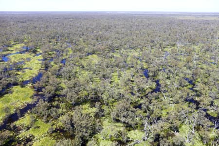 Aerial Image of MACQUARIE MARSHES IN FLOOD
