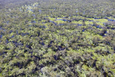 Aerial Image of MACQUARIE MARSHES IN FLOOD