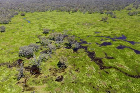 Aerial Image of MACQUARIE MARSHES IN FLOOD
