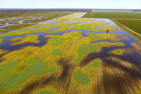 Aerial Image of MACQUARIE MARSHES IN FLOOD