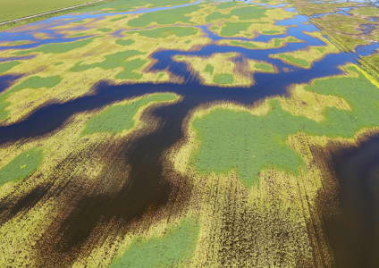 Aerial Image of MACQUARIE MARSHES IN FLOOD