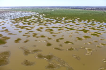 Aerial Image of MACQUARIE MARSHES IN FLOOD