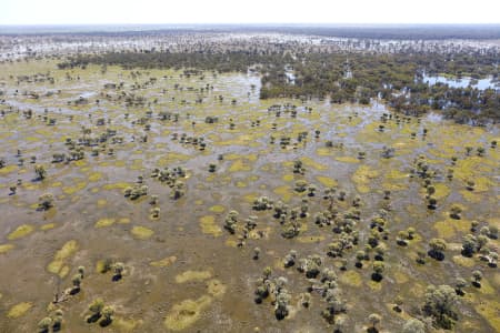 Aerial Image of MACQUARIE MARSHES IN FLOOD