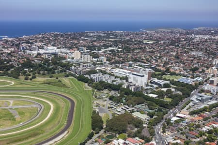Aerial Image of RANDWICK & THE UNIVERSITY OF NSW