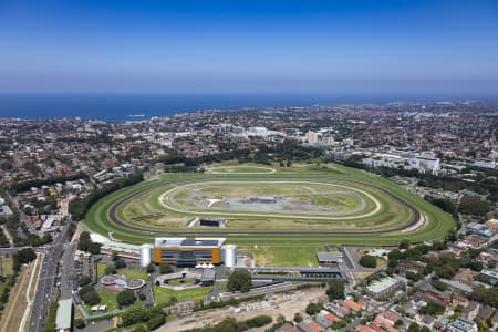 Aerial Image of RANDWICK & THE UNIVERSITY OF NSW