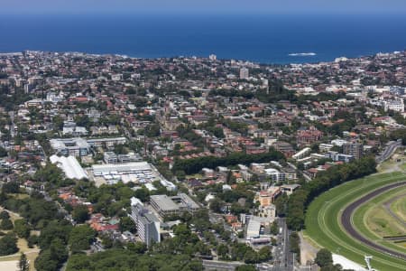 Aerial Image of RANDWICK & THE UNIVERSITY OF NSW