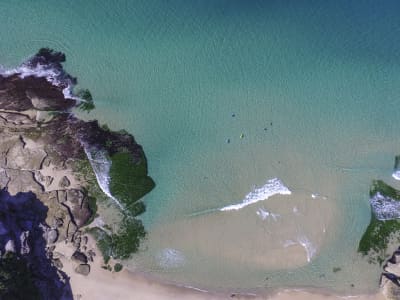 Aerial Image of TAMARAMA AERIAL