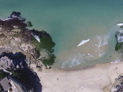 Aerial Image of TAMARAMA AERIAL