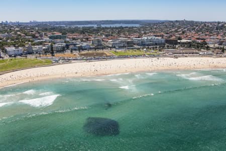 Aerial Image of BAIT BALL BONDI BEACH