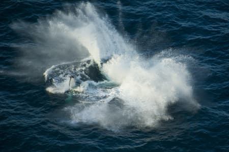 Aerial Image of WHALE SERIES