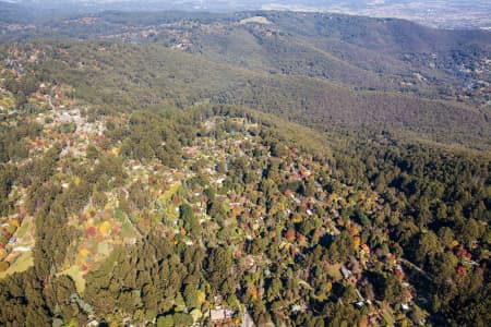 Aerial Image of DANDENONG RANGES