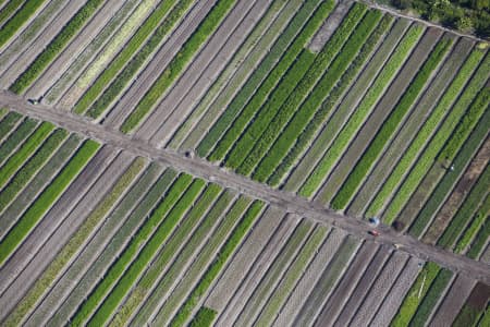 Aerial Image of CROPS