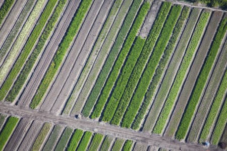 Aerial Image of CROPS