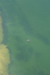 Aerial Image of RODD POINT