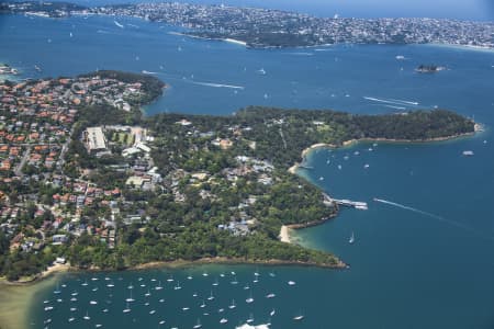 Aerial Image of TARONGA ZOO