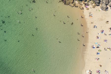 Aerial Image of SHELLY BEACH MANLY