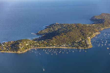 Aerial Image of PALM BEACH