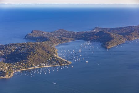 Aerial Image of PALM BEACH