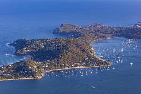 Aerial Image of PALM BEACH