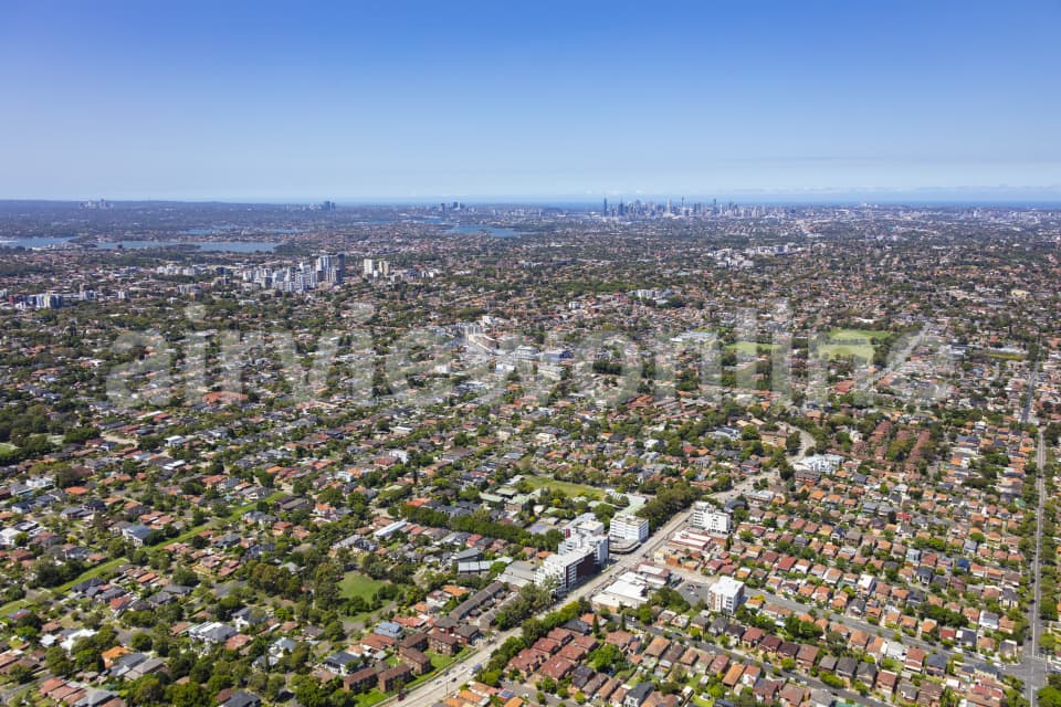 Aerial Image of Strathfield South