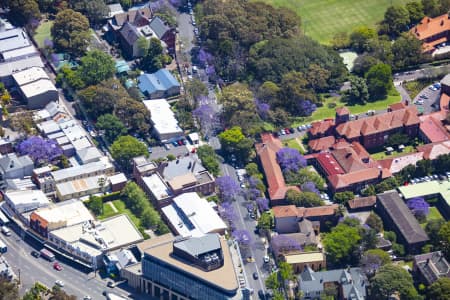 Aerial Image of DARLINGTON JACARANDAS