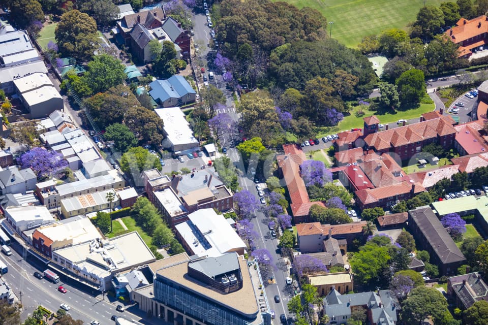 Aerial Image of Darlington Jacarandas