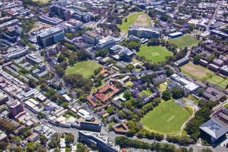 Aerial Image of SYDNEY UNIVERSITY JACARANDAS