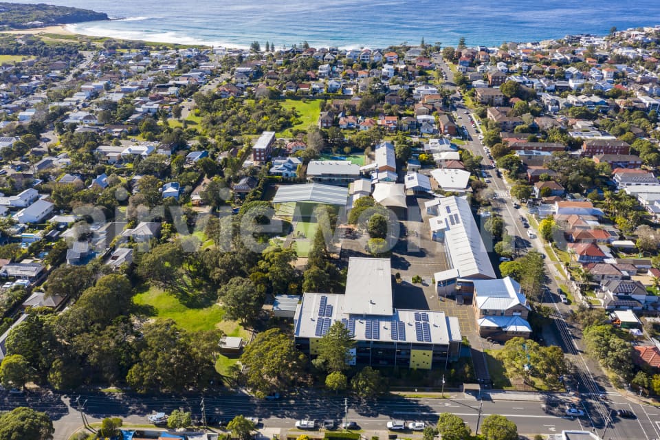 Aerial Image of Harbord Public School