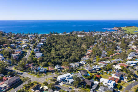 Aerial Image of COLLAROY HOMES
