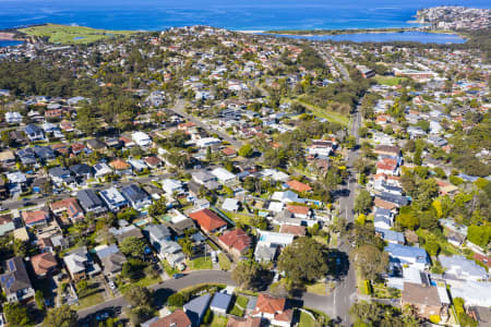 Aerial Image of COLLAROY PLATEAU HOMES