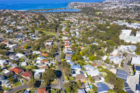 Aerial Image of COLLAROY PLATEAU HOMES