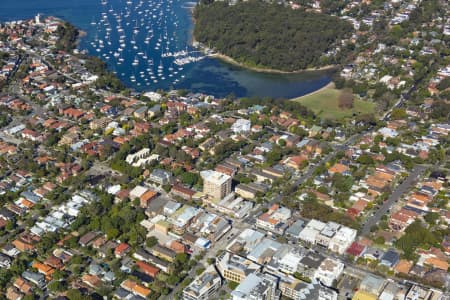 Aerial Image of BALGOWLAH