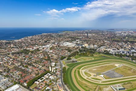 Aerial Image of RANDWICK