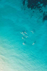 Aerial Image of PORT BEACH