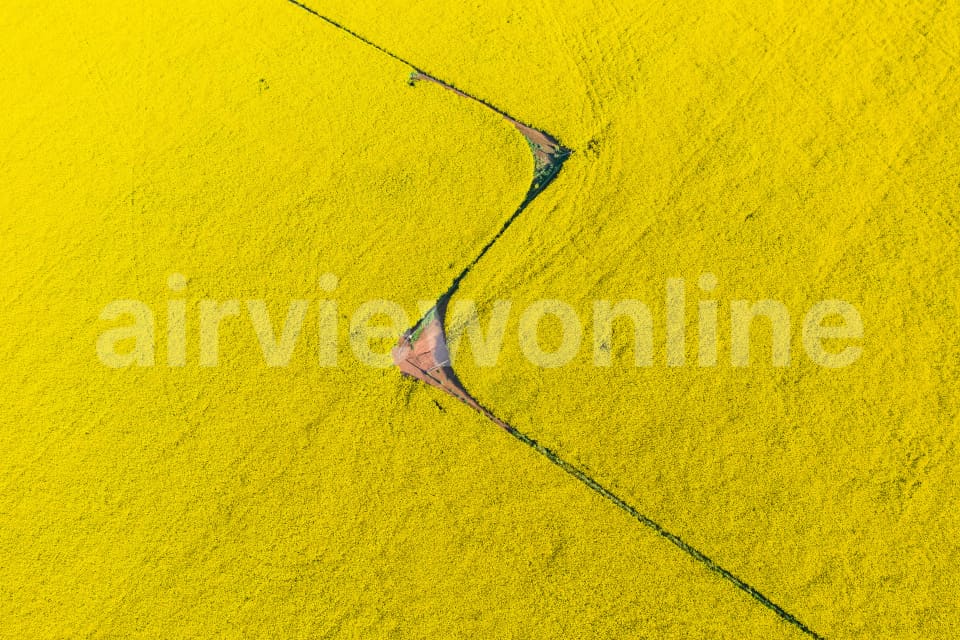 Aerial Image of Canola fields
