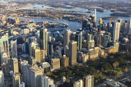 Aerial Image of SYDNEY EARLY MORNING